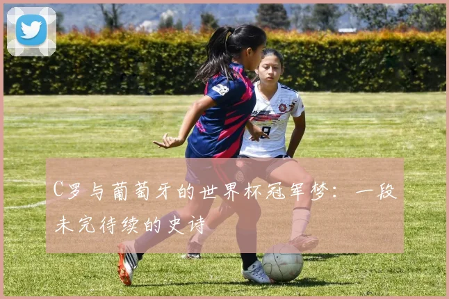 C罗与葡萄牙的世界杯冠军梦：一段未完待续的史诗