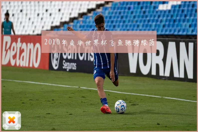2010年南非世界杯飞鱼驰骋绿茵