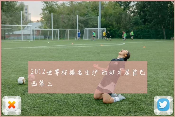 2012世界杯排名出炉 西班牙居首巴西第三