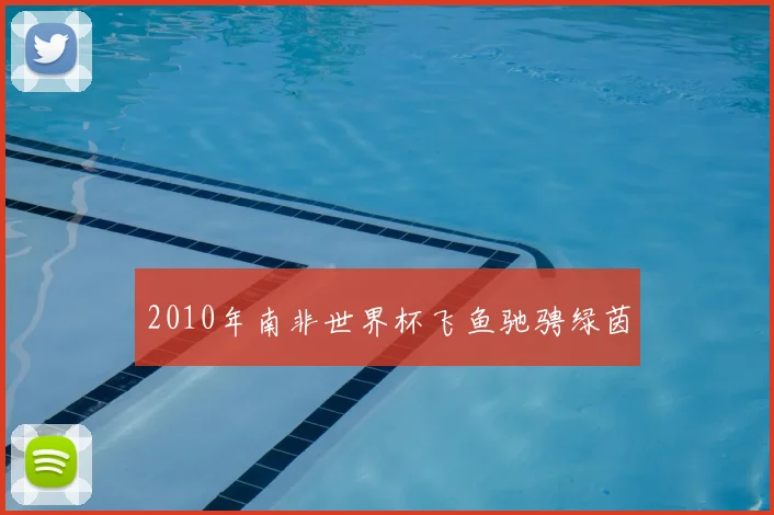 2010年南非世界杯飞鱼驰骋绿茵