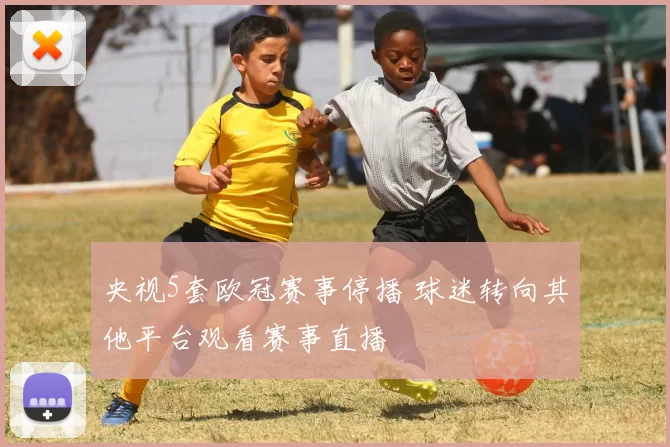 央视5套欧冠赛事停播 球迷转向其他平台观看赛事直播