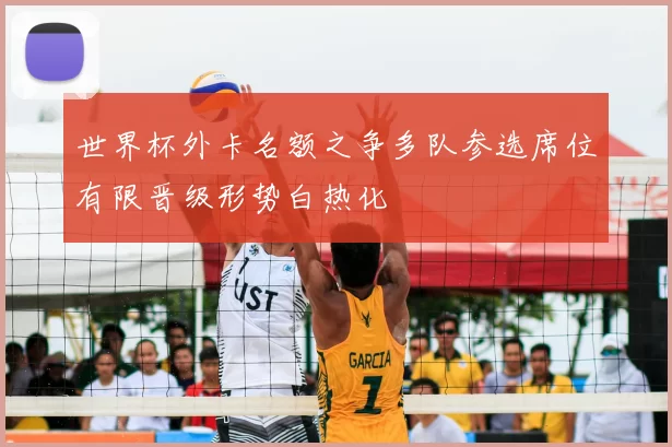 世界杯外卡名额之争多队参选席位有限晋级形势白热化