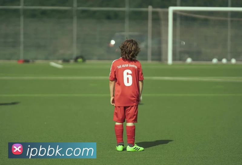 2018世界杯官网服务体系